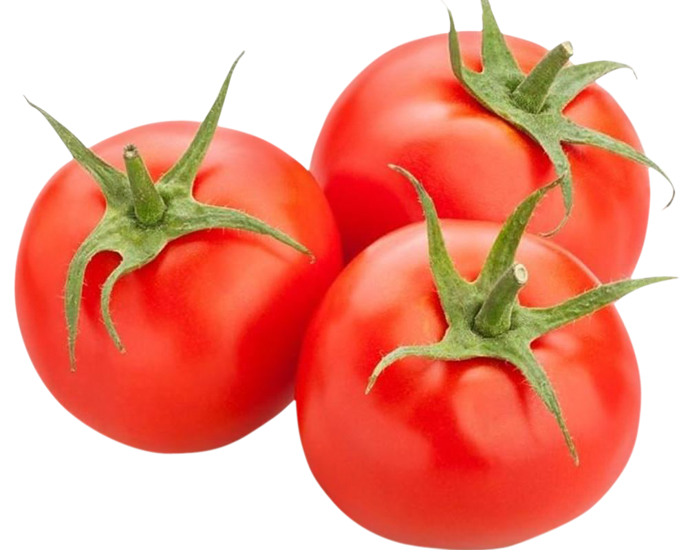 Tomatoes images, Tomatoes png, Tomatoes png image, Tomatoes transparent png image, Tomatoes png full hd images download